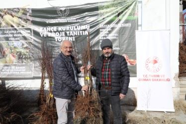 KIRIKKALE ÇİFTÇİSİNE 10 BİN FİDAN DAĞITILDI.