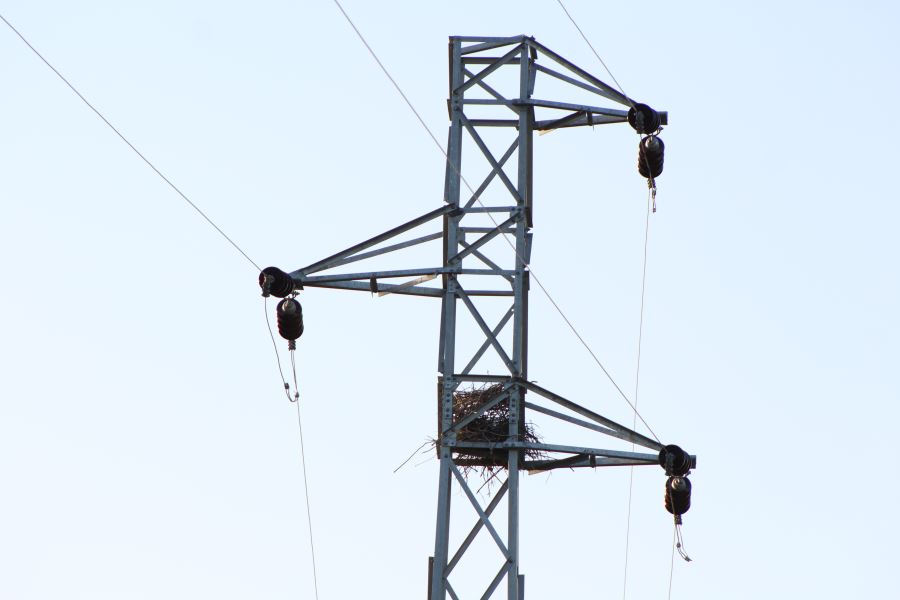 BÖYLE OLUR SA ELEKTRİK FATURALARI ELBETTE YÜKSEK GELİR!