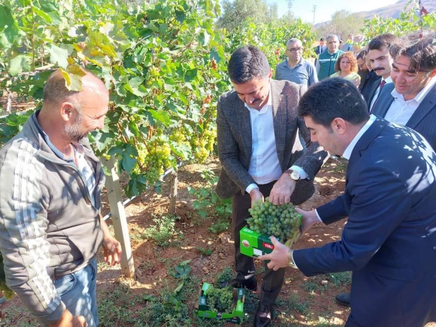 VALİ DEDİĞİN BÖYLE OLMALI MEYDAN LARÜS GİBİ.
