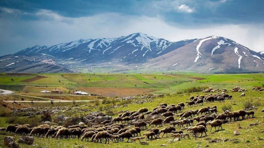 Pınar Başındaki organik tarım arazisine yapılacak dinamit fabrikası projesi iptal edildi