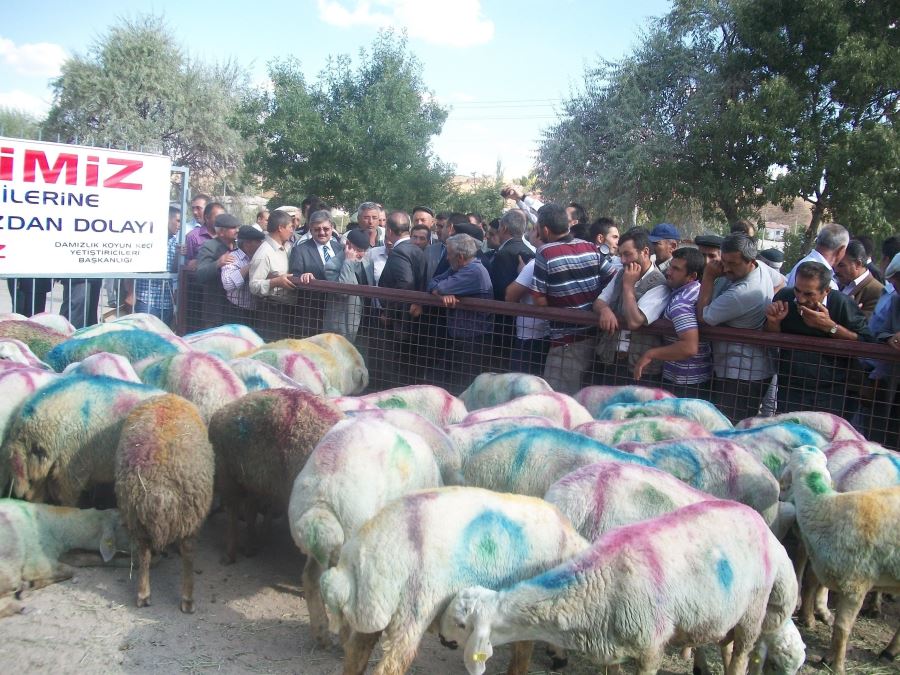 vatandaş KURBAN ALAMIYOR ANCAK SEYREDİYOR