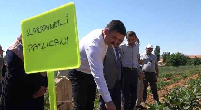 İNŞALLAH SAYIN TEKBIYIKOĞLU BÖYLE GİDERSENİZ KIRIKKALE DE İZ BIRAKACAKSINIZ.