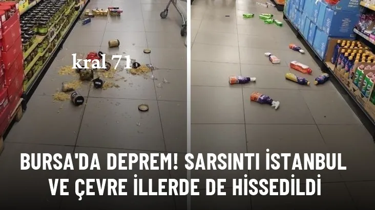 Bursa