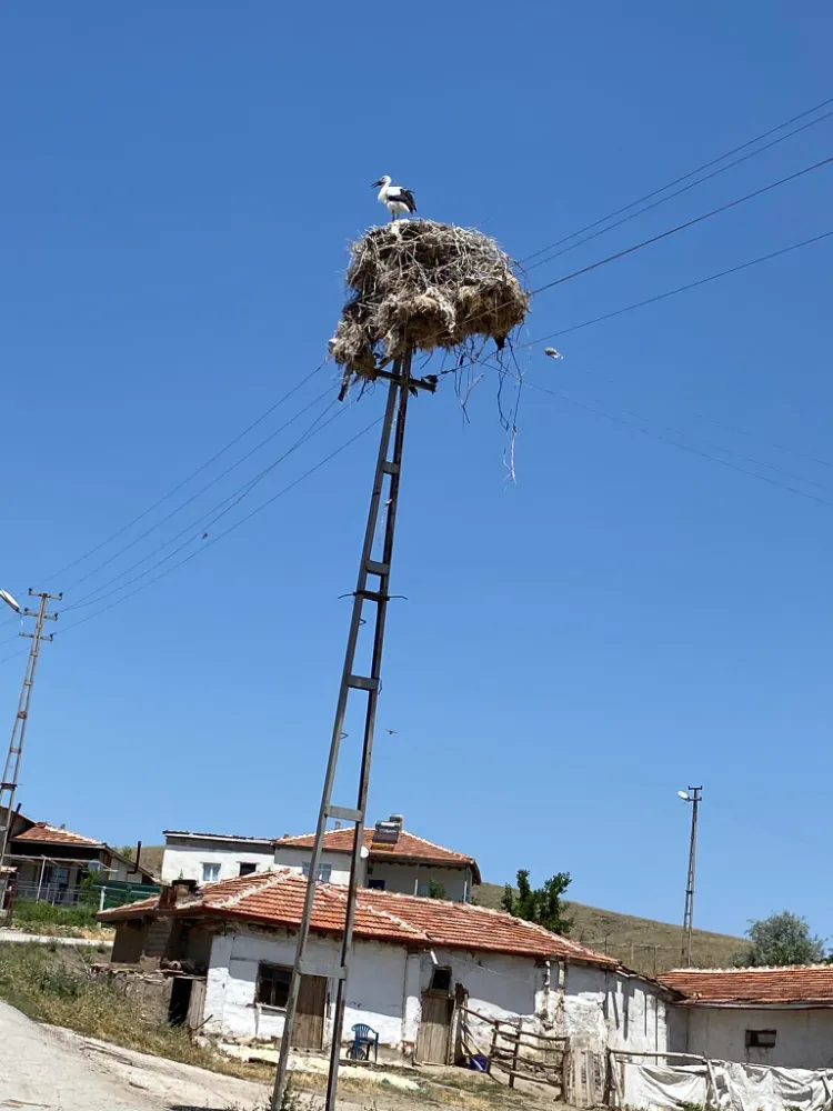 BAZI PARTİLER YILAN ÇIKARMAK İÇİN LEYLEK ARAYIŞINDA.