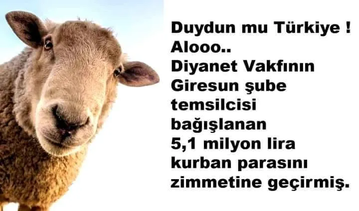 BUNLARDAN BAŞKA NE BEKLENİR?