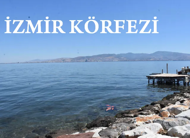 Profesörden korkutan uyarı: İzmir santim santim çöküyor, gelecekte her yeri su basabilir