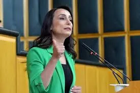 DEM Partili Hatim oğulları açık açık tehdit etti: İmranlı kapıları açılmazsa her yer Gazze olacak
