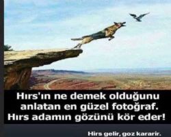 HIRS BÜTÜN CANLILARIN SONUDUR.