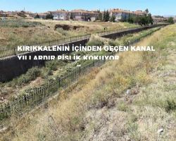 AMMAN DİKKAT GİZLİ BUZLANMA TECRÜBESİZ SÜRÜCÜYÜ PEK SEVER.