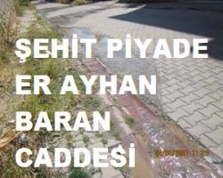 Şehitler ölür, biraz daha sıkı çalışırsanız vatan da bölününür.