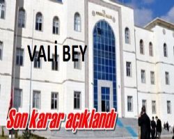 Dünyanın en büyük Türk bayrağı temalı lale peyzajı Rekorlar Kitabı?na girdi