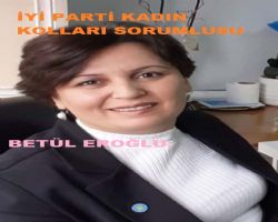 ÇARKÇI DEYİP DE GEÇMEYİN?