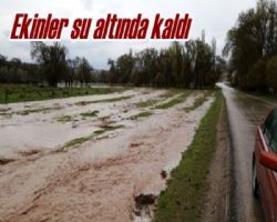 SİGORTA EKSPERLERİNE GÜVEN NE KADAR?