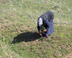 TABİATIN KANUNU BÖYLE KURSAK KAVURGA SIN DAN VAZ GEÇMİYOR!