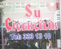 KIRIKKALE DE ÇİÇEK DENİNCE AKLA SU ÇİÇEKÇİLİK GELİYOR.