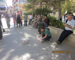 HANGİ BİRİNE BAKACAĞINA ŞAŞIRDI KALDI.