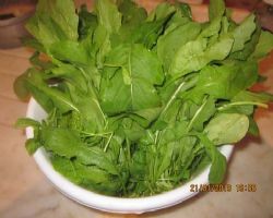 EY OKUR TÜRKİYE YE NE OLDU? HANİ BİZ TARIM ÜLKESİ İDİK 15 SENEDE GENLERİMİZ Mİ DEĞİŞTİ?