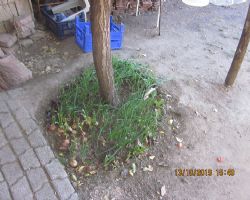 ORGANİK ÜRÜNÜN PAZARA GİTMESİNE GEREK YOK!